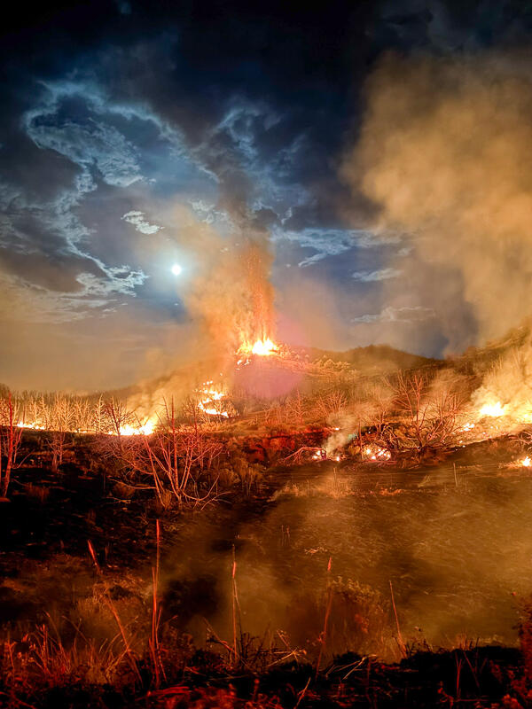 Fire on a mountain under a moon-lit night