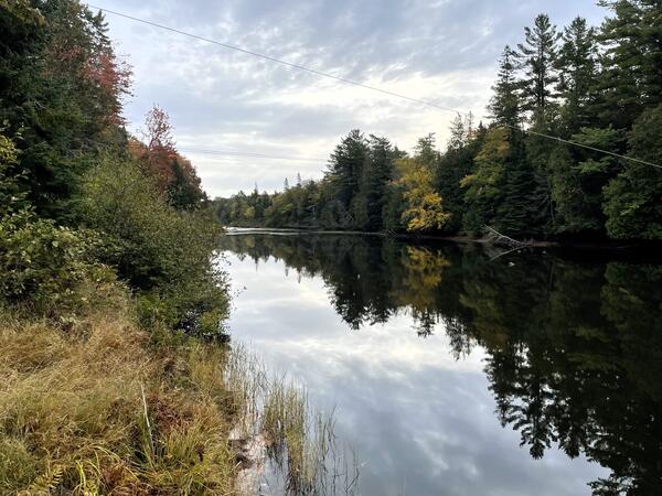 View of a river on an overcast autumn day