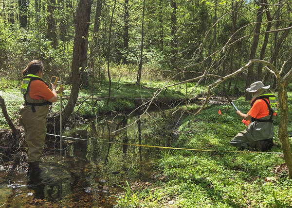 Technicians complete field activities for a spring habitat assessment in Reston, VA.