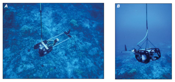 Underwater photos of the tethered drop-camera system