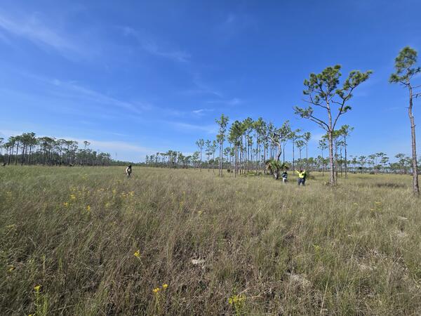 three people stand in a large prairie, with trees sparsely distributed throughout and blue sky above