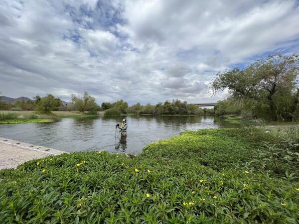 USGS Hydrologist measuring streamflow along the Lower Gila River at Tres Rios Wetlands, March 2023