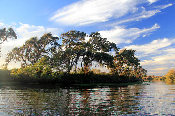 Island in the Sacramento-San Joaquin Delta