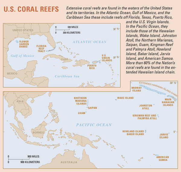 Map showing extent of US coral reefs
