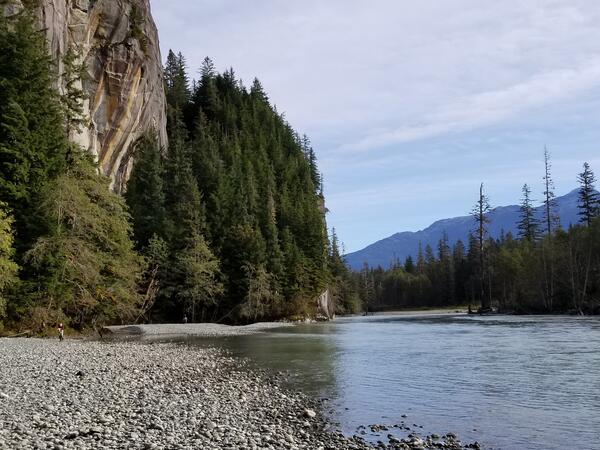 River flowing below a steep cliff covered in coniferous trees.