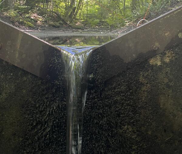 A v-notch weir in a summer forest.