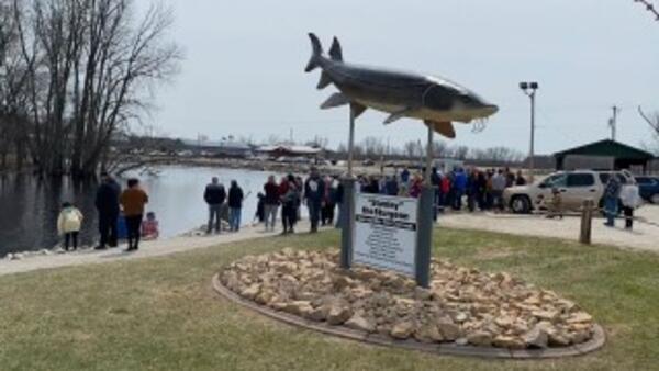 Thousands of people visit lake sturgeon spawning locations on tributaries to Lake Winnebago each year. 