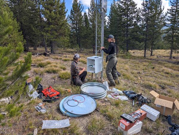 A man and a woman work next to a tower with electronics equipment. Tools are scattered on the grass. Sparse trees behind.