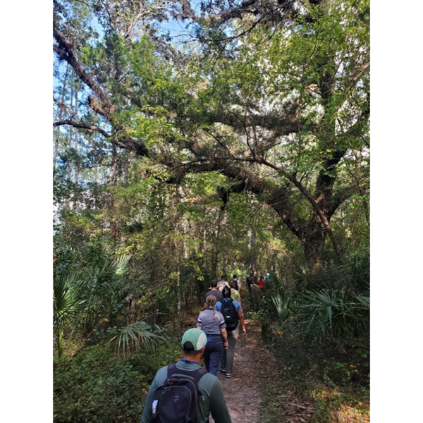 Group of people hiking on a trail in a tropical setting.   State: Florida