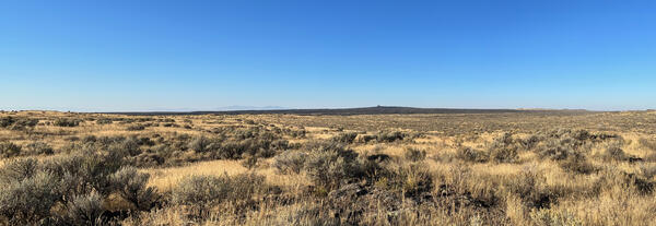 Dry sagebrush-covered flat landscape with a dark, low butte rising in the distance under blue sky