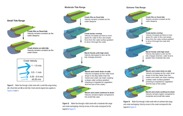 Charts depicting water flux through a tidal creek during flood and ebb tides