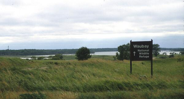 A landscape with grass and a few trees in the foreground, an irregular body of water and forest behind the water