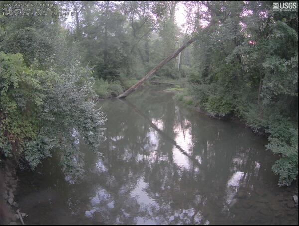 Scenic view of a heavily wooded, tree-lined river