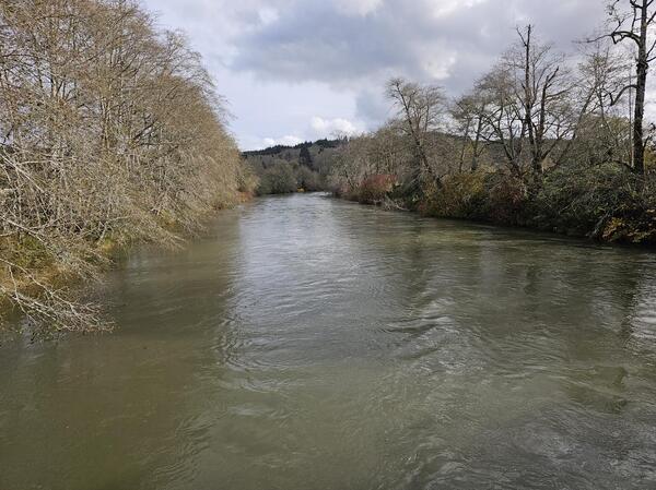 river with brown water