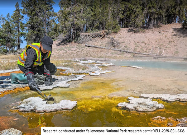 person wearing safety vest and rubber bots and gloves at the edge of a colorful hot spring scraping a bacteria sample