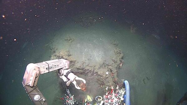 An underwater view from the submersible Alvin showing the manipulator arm picking up a rock from the seafloor