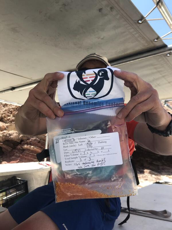 A close-up of a technician's hands holding an eDNA sample in a labeled biohazard plastic bag