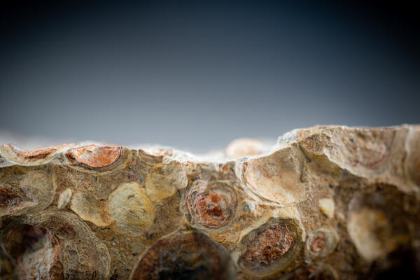 Macro image of a bauxite specimen showing detailed texture and color variation.