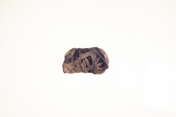 Isolated beryllium specimen from the USGS mineral collection.