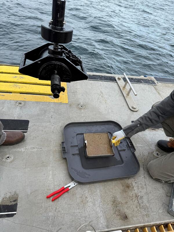 sediment in small equipment next to ocean