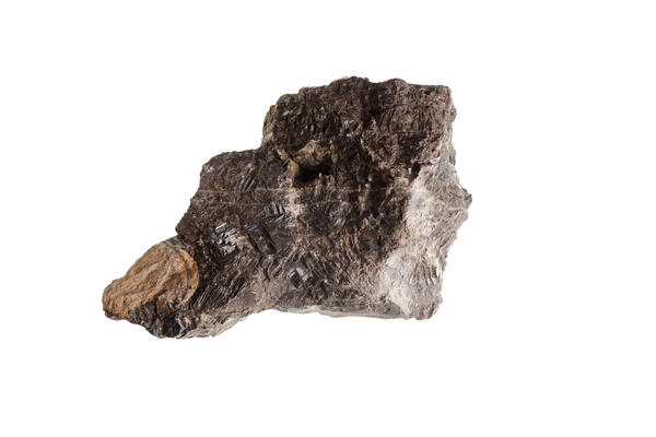 Isolated black calcite specimen from the USGS mineral collection.