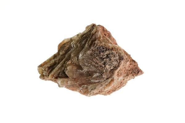 High-definition image showing banded texture and earthy color.