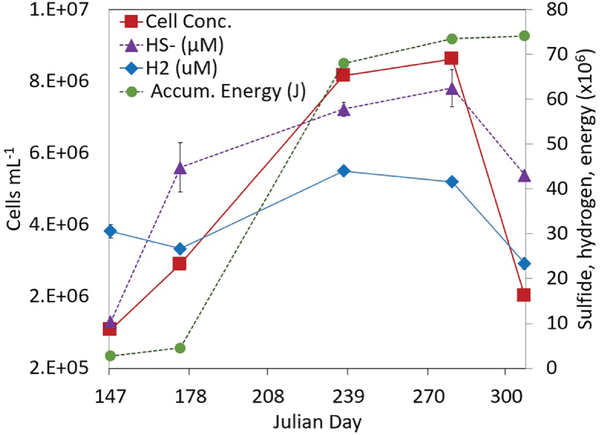 all values rise over time to the middle-late part of the plot, then decrease to previous levels