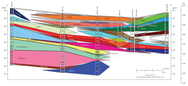 Central Strat C Plate
