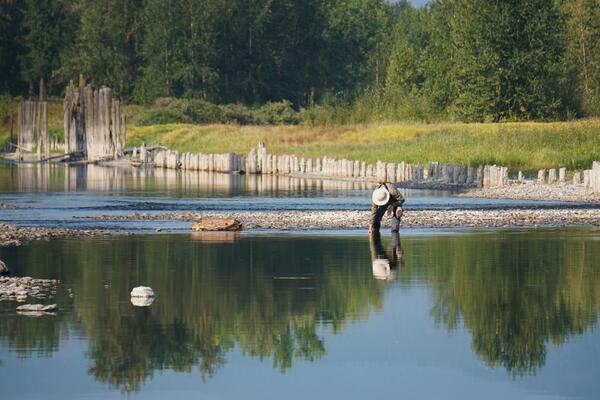 USGS Selenium Research Laboratory scientist collecting samples on the Kootenai River.