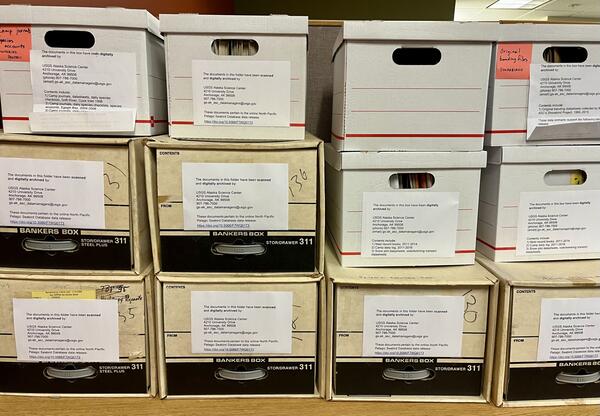 White and brown carboard boxes stacked on top of each other.