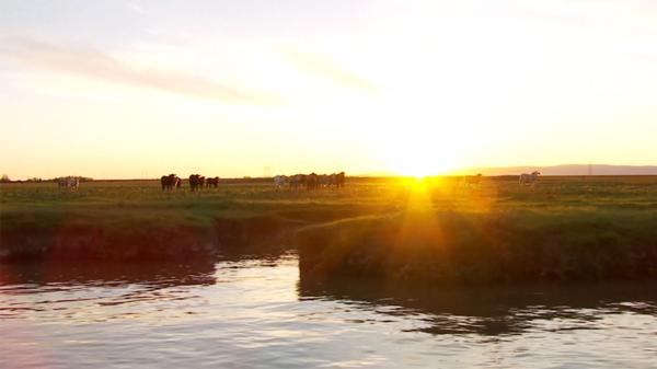 SF Bay-Delta from POV of USGS vessel at sunset