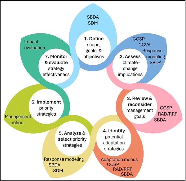 An infographic explaining the adaptation planning process. 