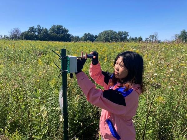 Graduate student is working on equipment at a solar field in the Northeast U.S.