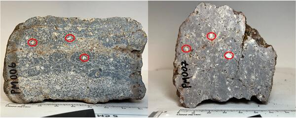 fist-sized rock samples gray in color with red circles noting large white mineral grains