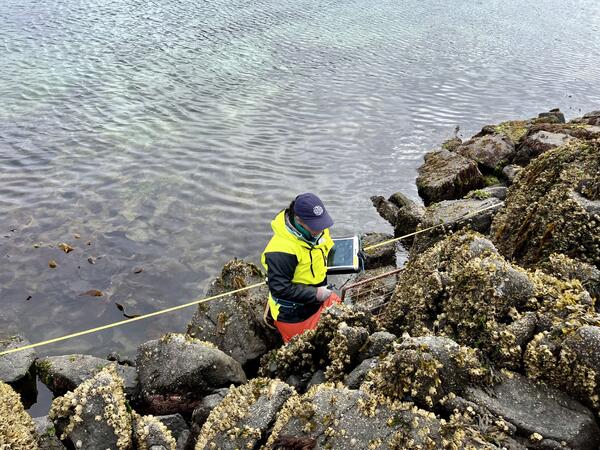 Women in blue hat, yellow vest, orange pants holding a computer collecting data. She is standing on rocks at low tide. 