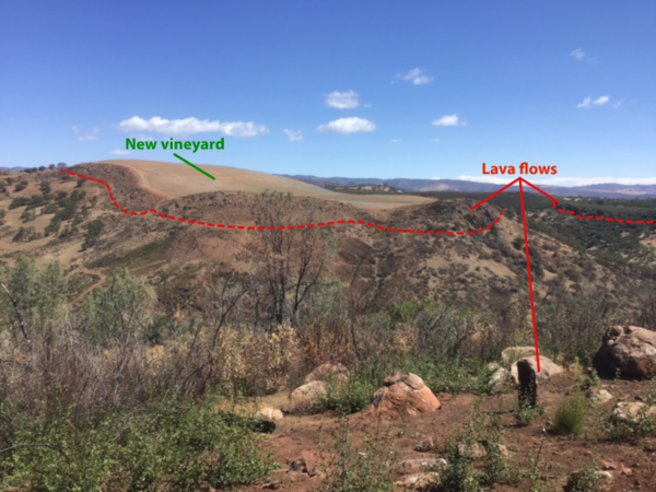Landscape view of rolling hills with labeled "New vineyard" and "Lava flows" areas, separated by a red dashed line