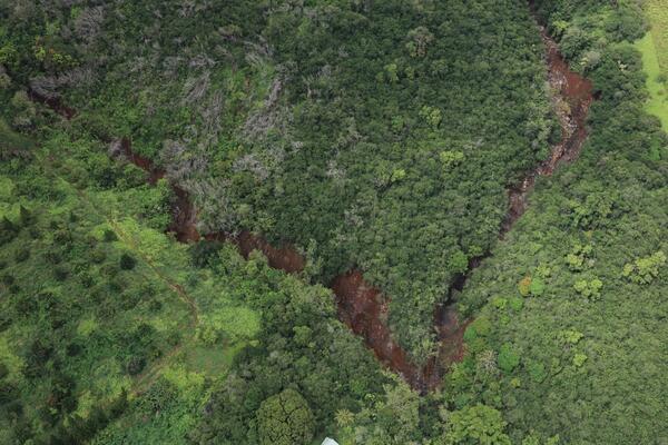 Photo of landslide source area on green hillside 
