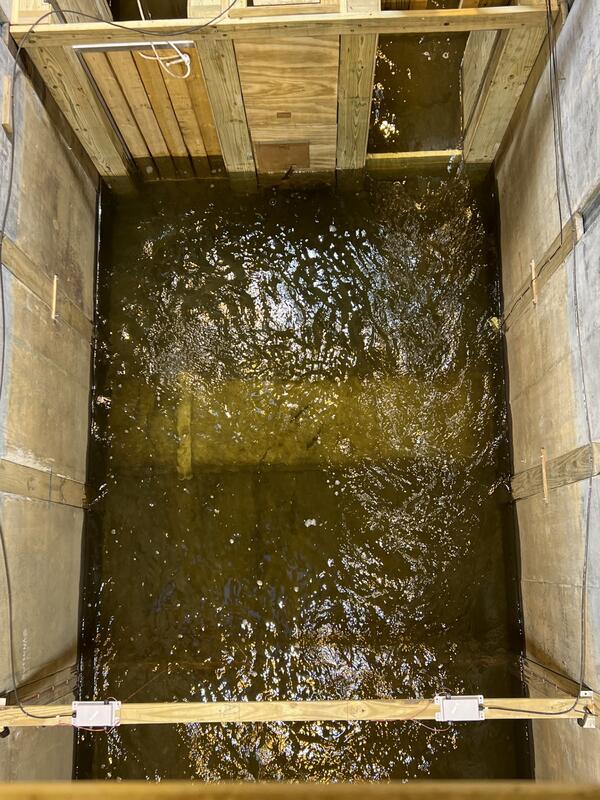 Water flowing through wooden fish ladder structure and fish in the water 