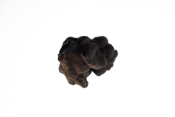 USGS mineral specimen of manganese nodule.