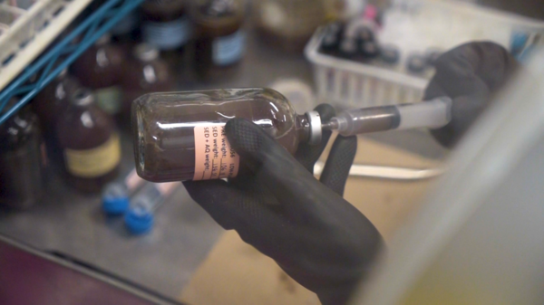 Sample in anaerobic chamber