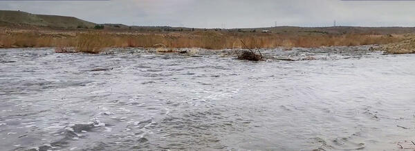 Mojave River during high flow