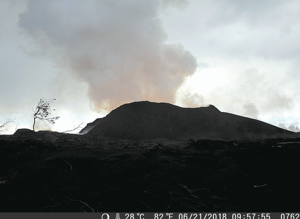 Animated GIF showing cone changes at fissure 8