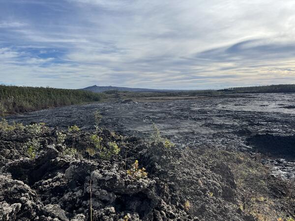 Color photograph of lava flows on floor of crater