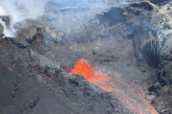 Color photograph of volcanic vent and bird