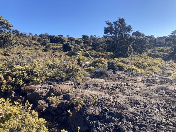 Color photograph of tripod on vegetated lava flow