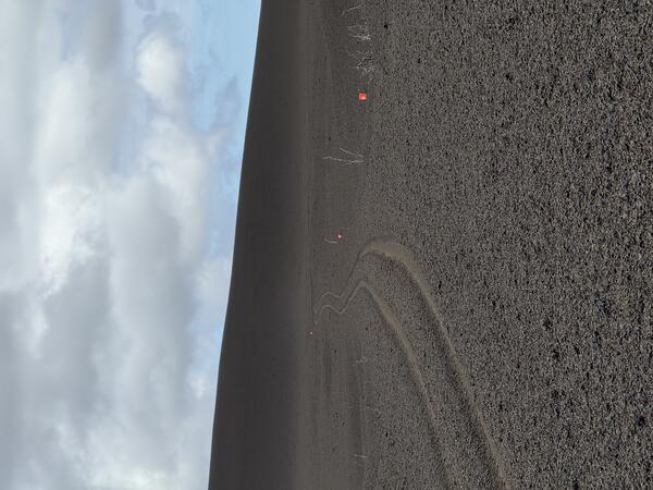 Color photograph of volcanic landscape with tire tracks