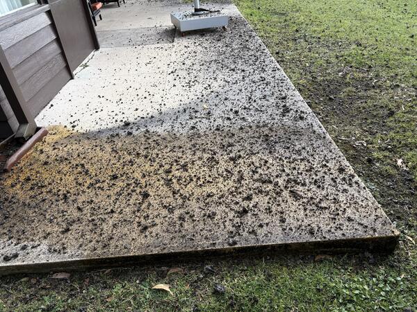 Color photograph of volcanic rocks on a cement pad