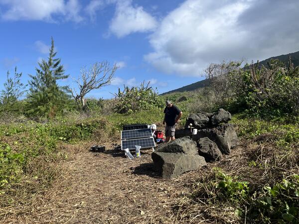 Color photograph of scientists at monitoring station surrounded by vegetation