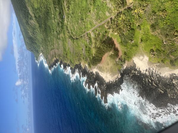 Color photograph of vegetated shoreline and ocean