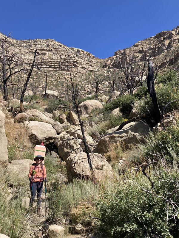 USGS researcher returns after collecting previously deployed UAS ground targets in the Cimarron Canyon in New Mexico